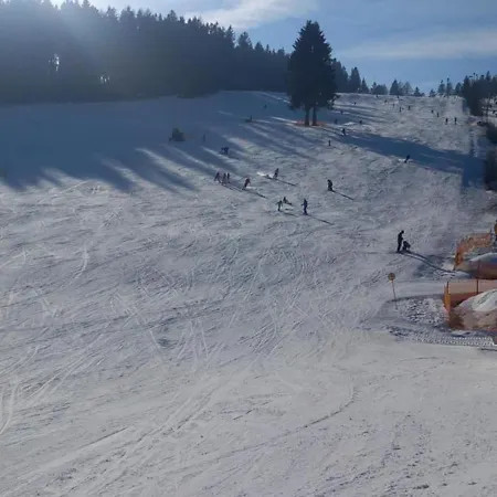 Holiday home Haus Am Park *