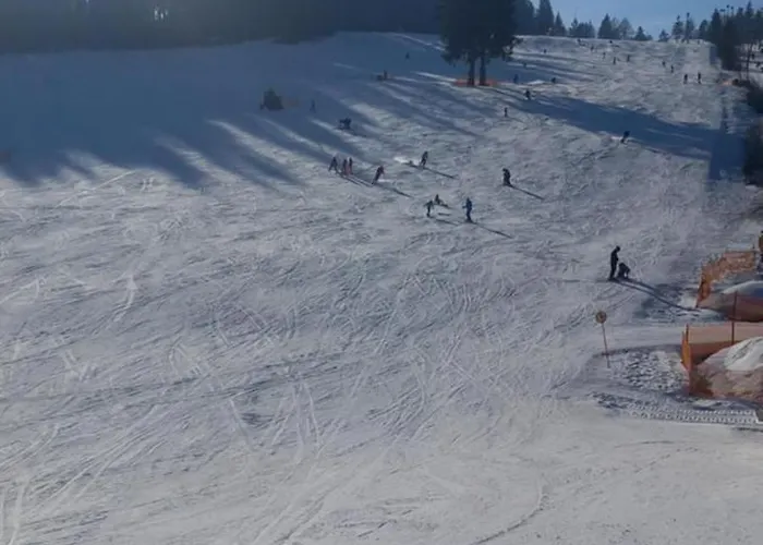 Holiday home Haus Am Park *