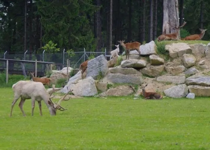 بيت للعطل Haus Am Park